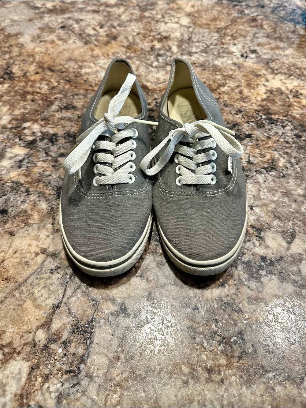 Vans Gray Canvas Low-Top Sneakers